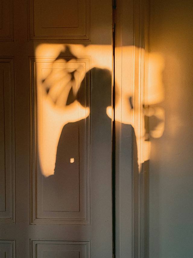 A shadow of a person cast on a golden door